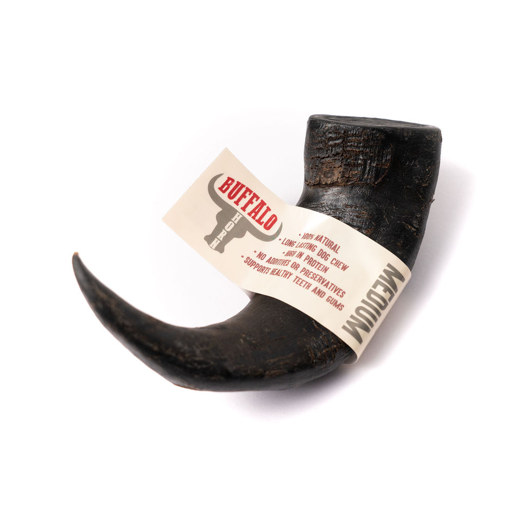 NOVA Buffalo Horn Medium